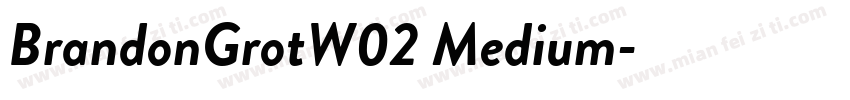 BrandonGrotW02 Medium字体转换